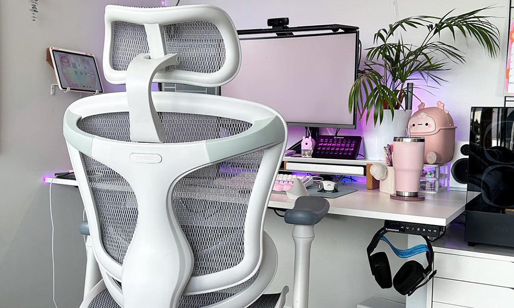 Should Office Chairs Be Hard or Soft?