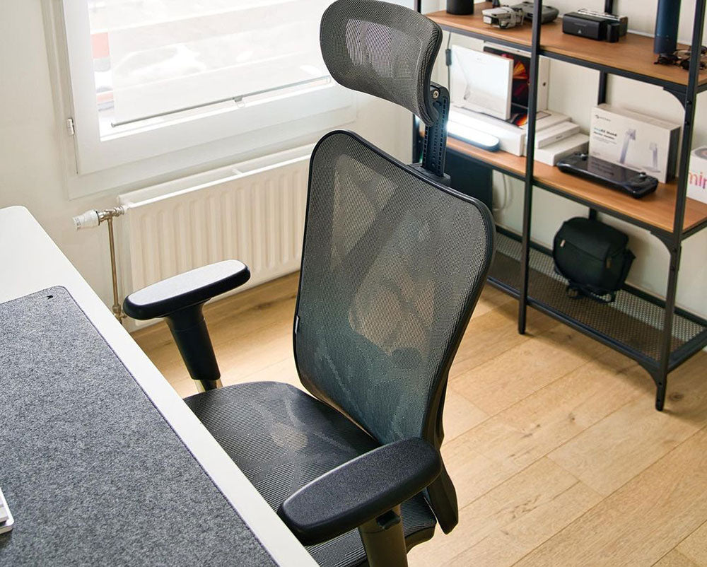 Which chair is best for the back?