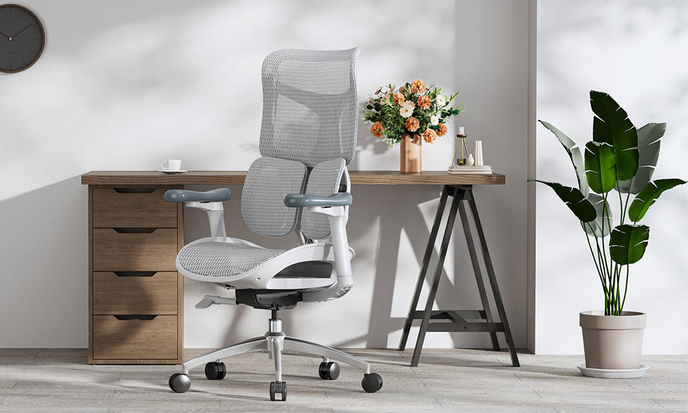 Prioritizing Ergonomics with the Sihoo Doro S300