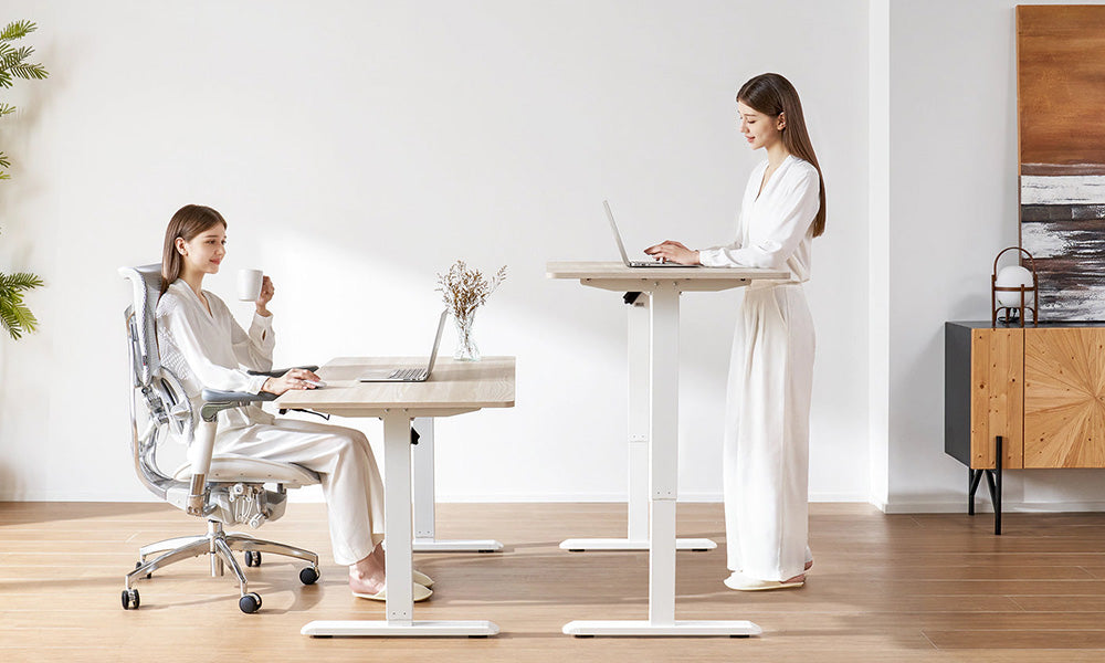 New Product Launch Sihoo D03 Standing Desk