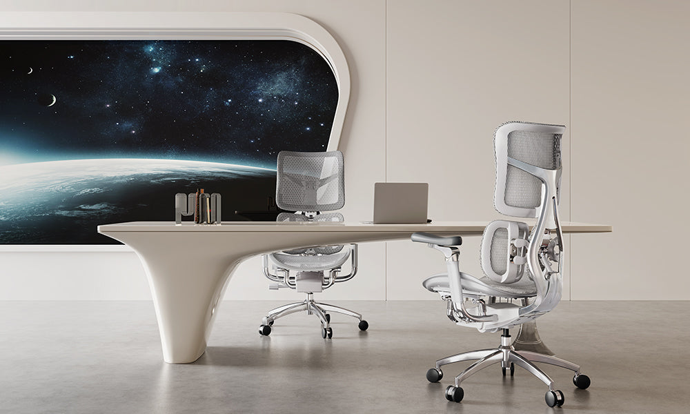 Integrating the Sihoo Doro S300 into Your Office Aesthetic