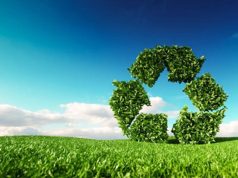 Committed to Sustainability