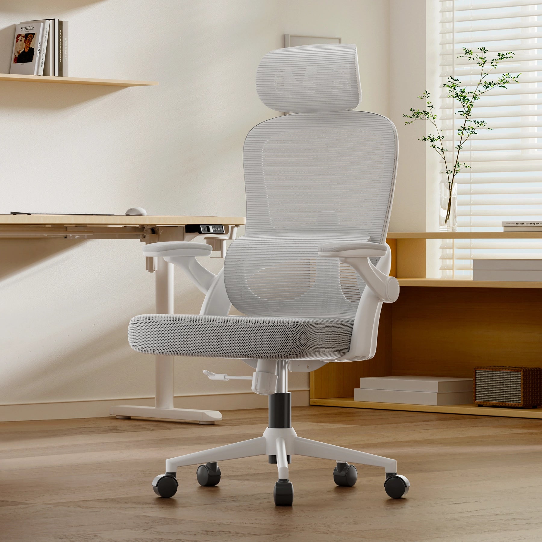 Sihoo M102C Ergonomic Office Chair with Next-Level Lumbar Support