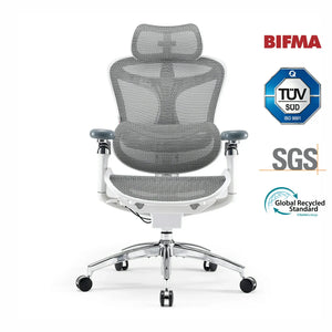 Chaise ergonomique Sihoo Doro C300 Pro