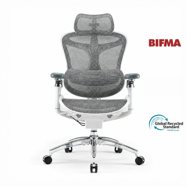Sihoo Doro C300 Pro Ergonomic Chair
