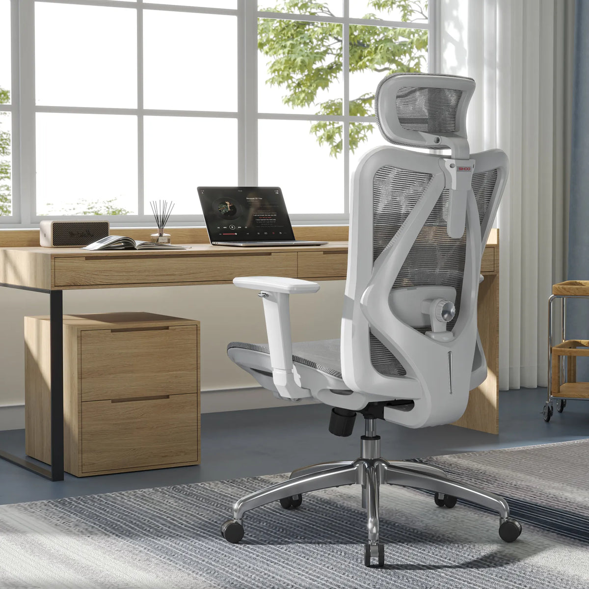 Sihoo M57 Full Mesh Breathable Office Chair for Sedentary Lifestyle