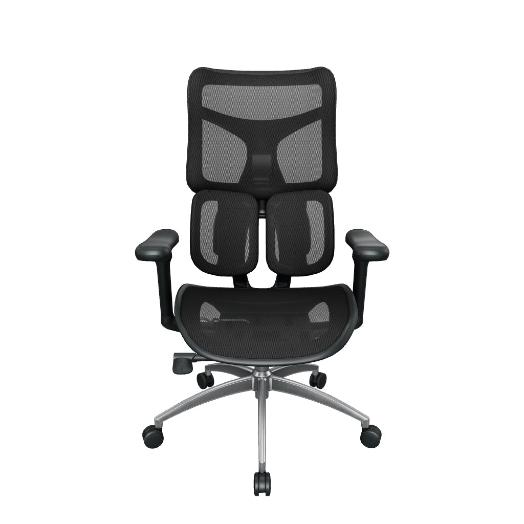 Sihoo Doro S100 Ergonomic Office Chair With Dual Dynamic Lumbar Support